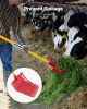 Horse Manure Fork Garden Tool 18 Angled Tine Plastic Pitchfork Muck Rake for Hay